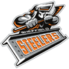 Sheffield Steelers