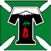 Deportes Temuco