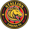 Stallion Laguna FC