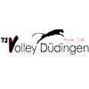 TS Duedingen Women