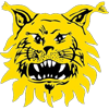 Ilves (W)