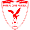 Ariesul Turda