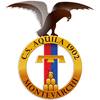 Aquila 1902 Montevarchi