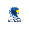 SG Sokol/Post Women