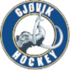 Gjøvik