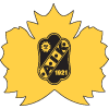 Skelleftea AIK