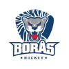 Boras HC
