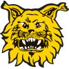 Ilves