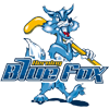 Herning Blue Fox