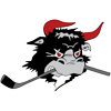 Rødovre Mighty Bulls