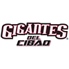 Gigantes del Cibao