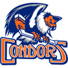 BAK Condors