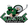 Erding Gladiators