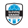 RK Slovenj Gradec 2011