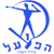 Hapoel Migdal Haemeq