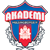 Helsingborgs IF Akademi