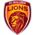 Bulleen Lions