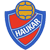 Haukar