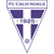 Calvi Noale