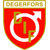 Degerfors IF U19