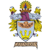 Taunton Town