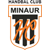 HC Minaur Baia Mare