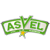 Asvel Lyon-Villeurbanne