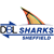 Sheffield Sharks