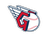 CLE Guardians