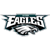 Super Eagles
