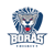 Boras HC