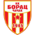 Borac Cacak