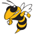 Georgia Tech