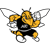 American International Yellow Jackets