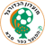 Hapoel Kfar Saba
