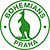 Bohemians 1905 B