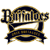 Orix Buffaloes
