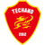 Guangdong Southern Tigers F.C.