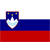 Slovenia U21